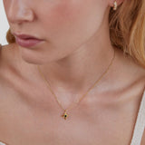 Palmiria™ — Collana