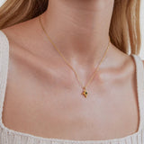 Palmiria™ — Collana
