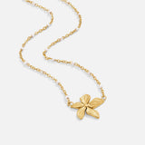 Onesta™ — Collana