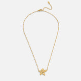 Onesta™ — Collana