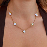 Partenope™ — Collana